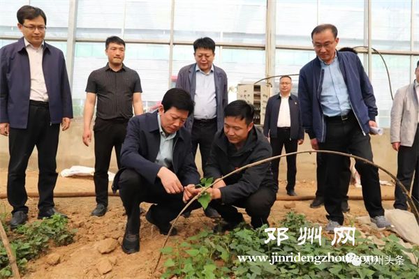 鄧俊峰調研督導高標準農田項目建設暨小麥“一噴三防”等工作